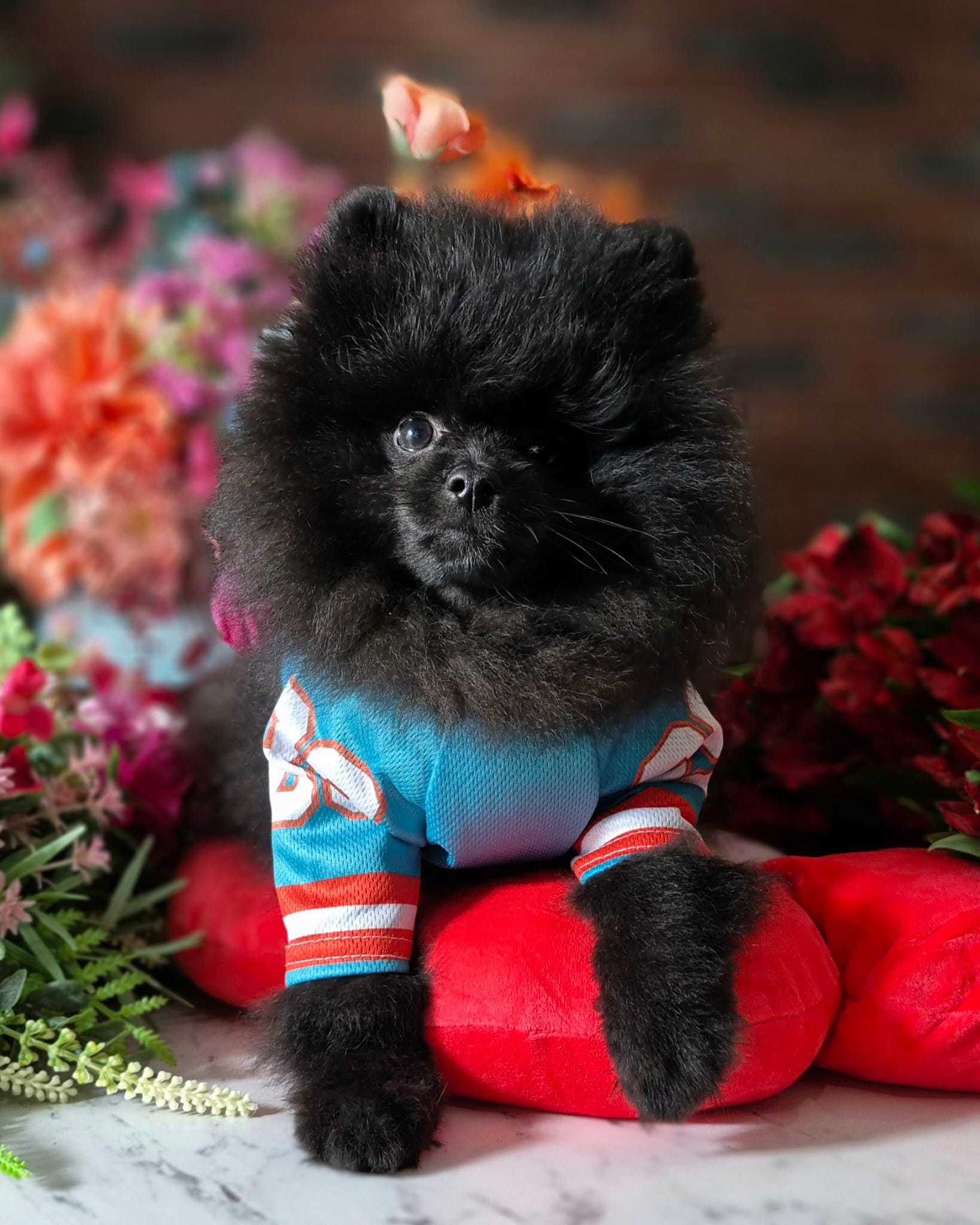 WhatsApp Image 2026-03-26 at 16.59.31 (6)