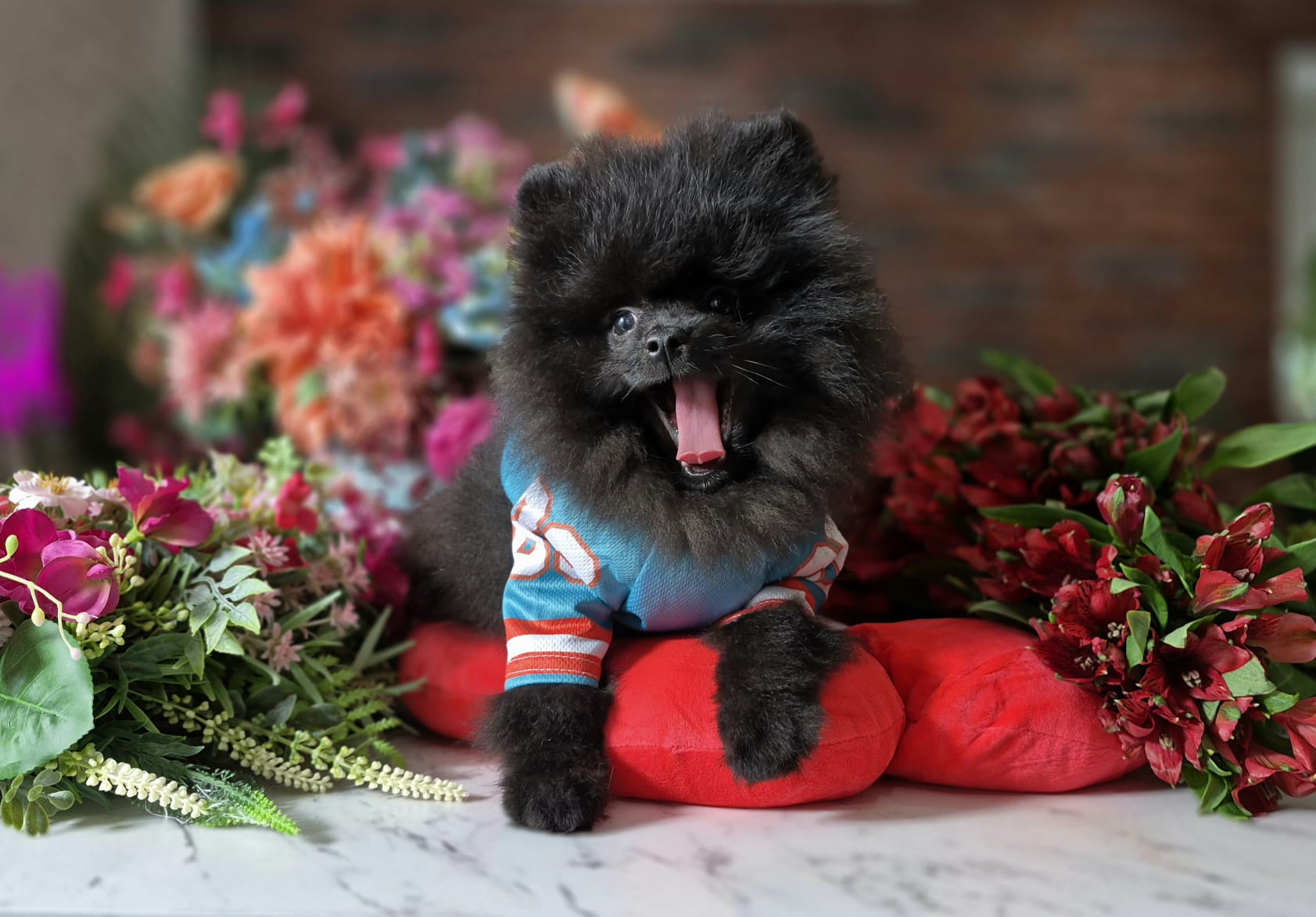 WhatsApp Image 2026-03-26 at 16.59.31 (7)