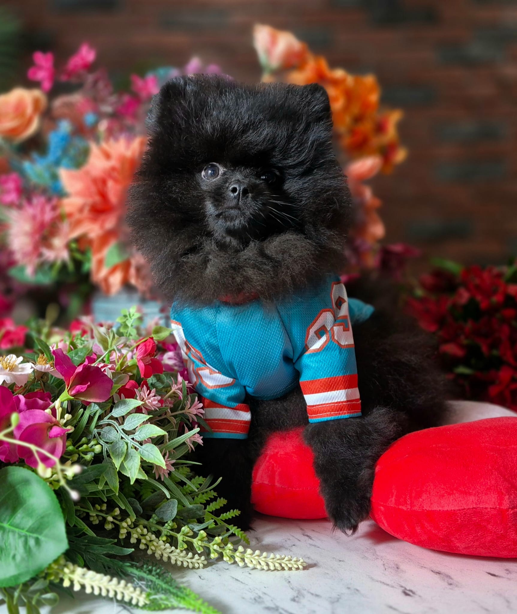 WhatsApp Image 2026-03-26 at 16.59.32 (1)