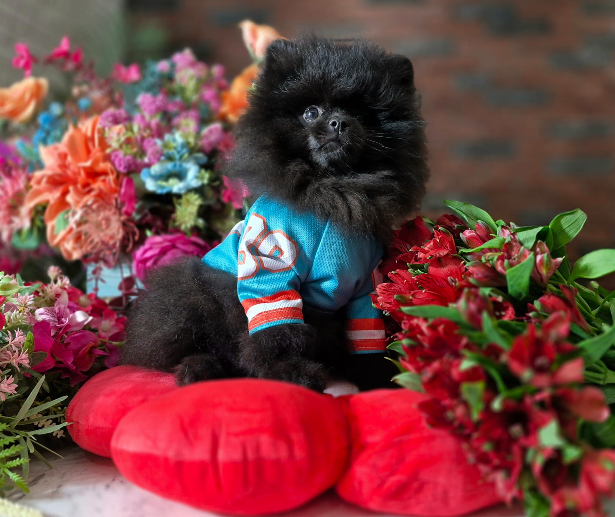 WhatsApp Image 2026-03-26 at 16.59.32